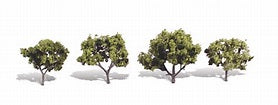 Woodland TR3503 Trees - Early light. Height 50-80mm (Pack of 4)