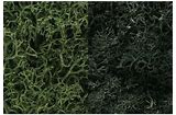 Woodland L168 Lichen Dark green mix (Large bag)