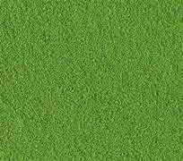 Woodland T45  Fine Turf - Green Grass (Bag)