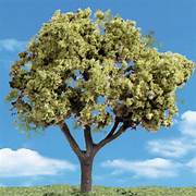 Woodland TR3509 Trees - Early light. Height 100-130mm (Pack of 3)
