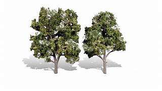 Woodland TR3513 Trees - Sun kissed. Height 130-150mm (pack of 2)