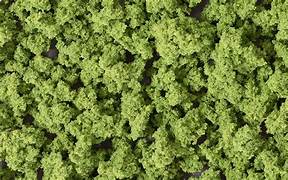 Woodland FC145 Bushes - Light Green (Bag)